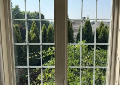 White double casement windows with grids facing green trees