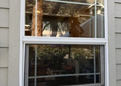 White single-hung window set in tan lap siding